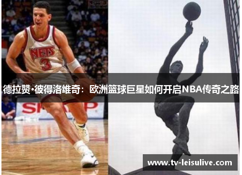 德拉赞·彼得洛维奇:欧洲篮球巨星如何开启NBA传奇之路 德拉赞·彼得洛维奇:欧洲篮球巨星如何开启NBA传奇之路